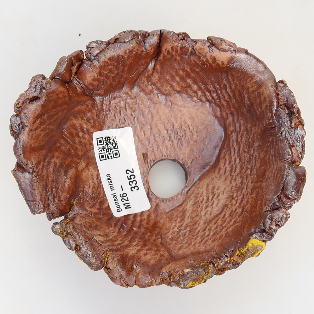 Guscio in ceramica  11,5 x 11 x 6 cm, colore giallo
