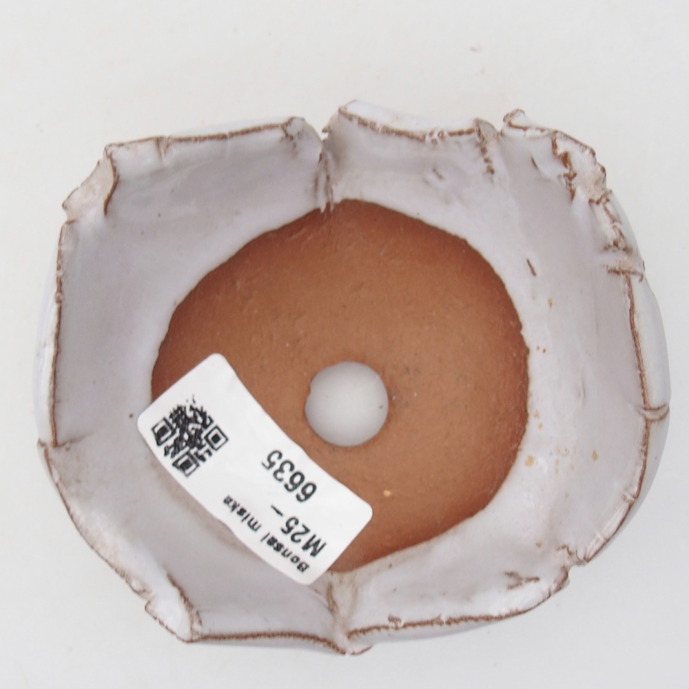 Conchiglia in ceramica 9 x 8 x 5 cm , colore bianco