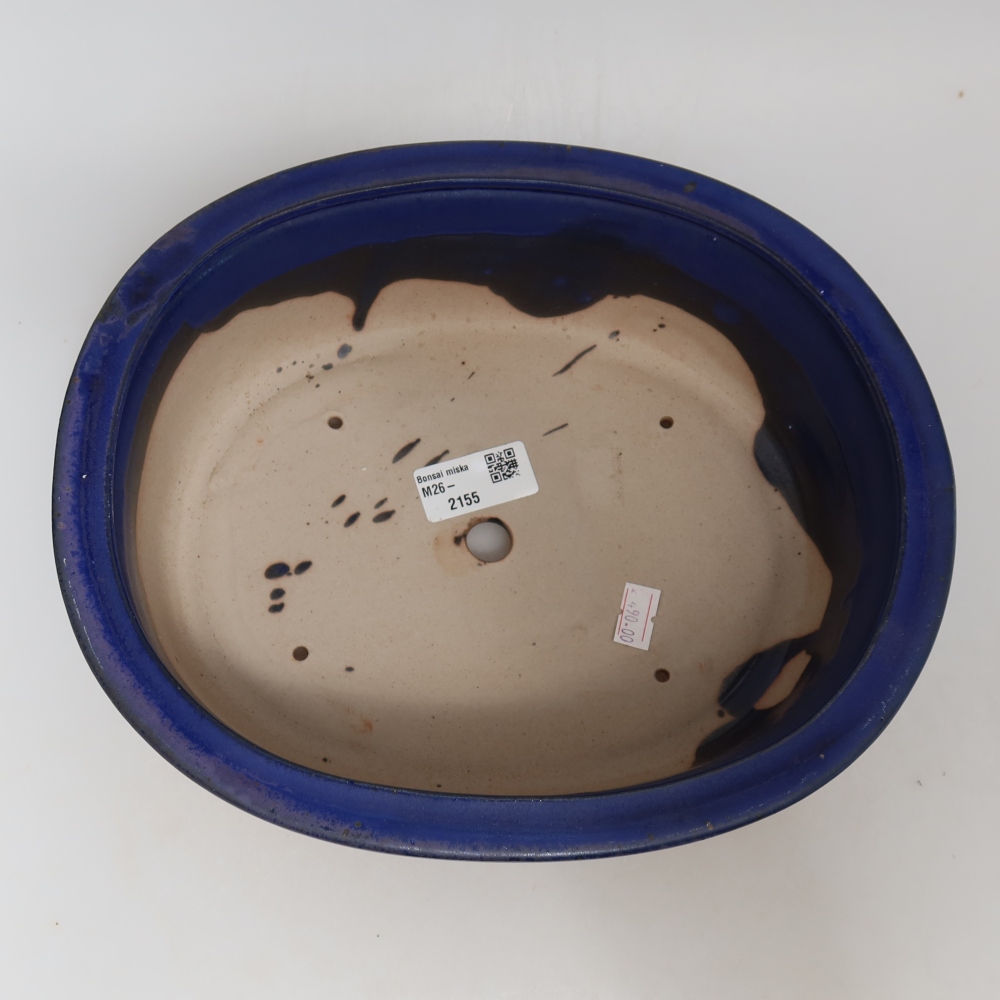 Ciotola bonsai in ceramica 26 x 22 x 8 cm, colore blu