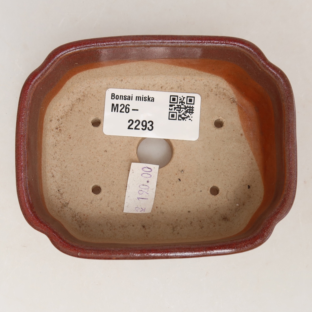 Vaso da bonsai in ceramica 10,5 x 8 x 4 cm, colore bordeaux