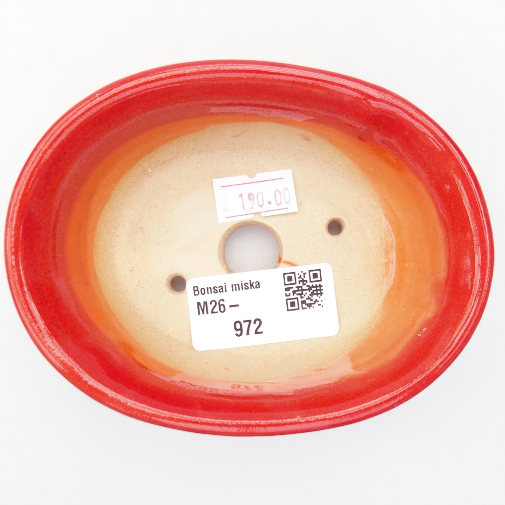 Ciotola per bonsai in ceramica 11 x 8,5 x 4 cm, colore rosso