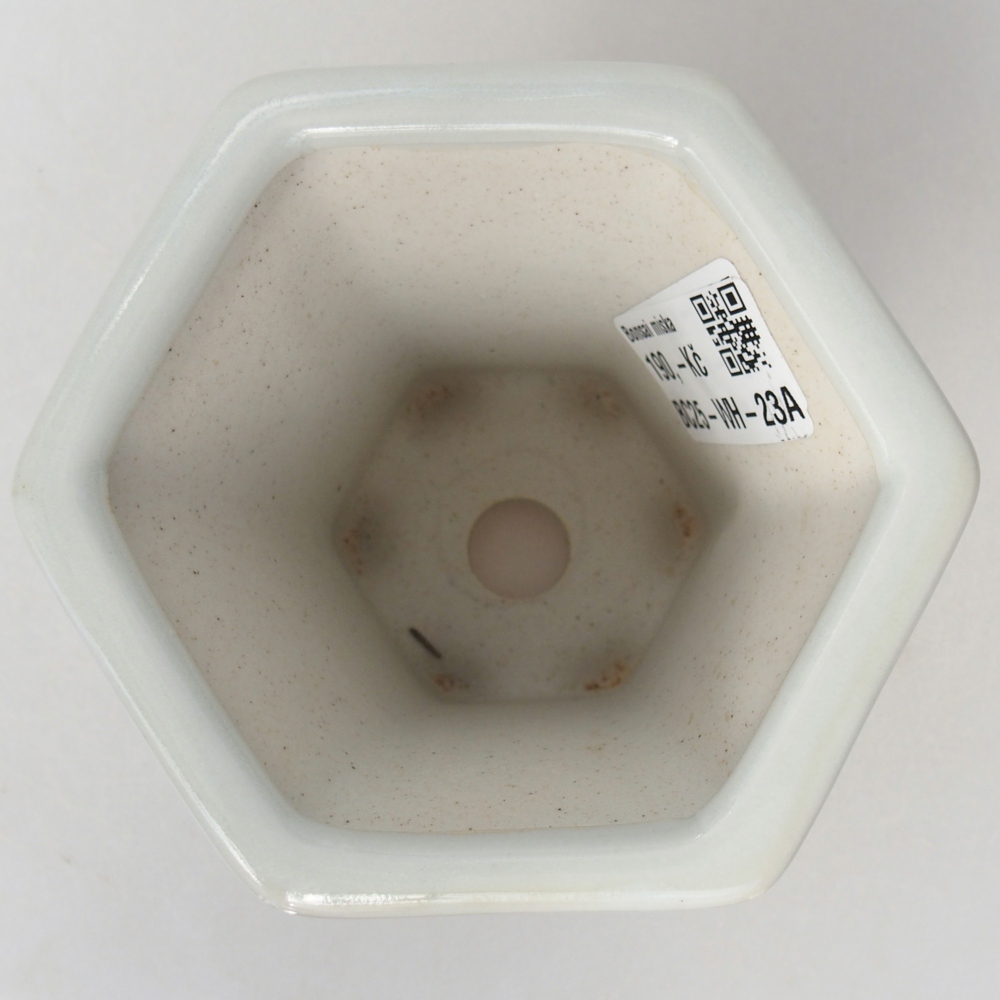 Ciotola per bonsai in ceramica 10 x 9 x 9 cm, colore bianco