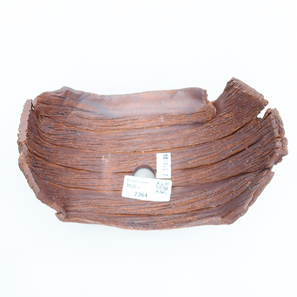 Conchiglia in ceramica  17 x 11,5 x 11,5 cm, colore marrone