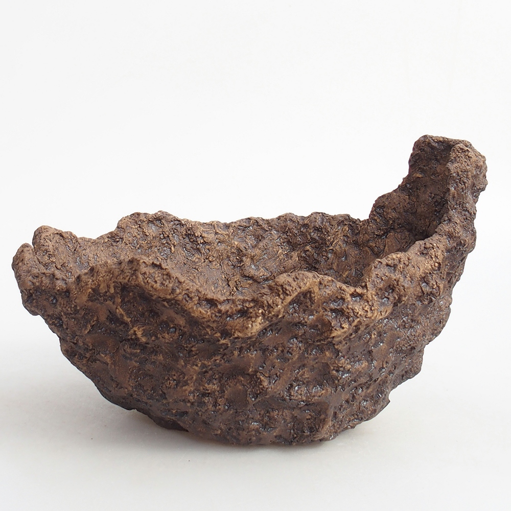 Conchiglia in ceramica 19 x 15 x 14 cm , colore marrone