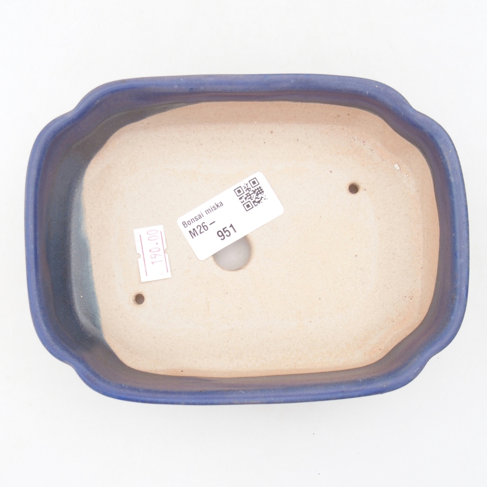 Ciotola per bonsai in ceramica 15,5 x 11,5 x 4 cm, colore blu