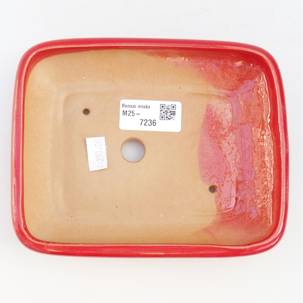 Ciotola bonsai in ceramica 26 x 26 x 8 cm, colore rosso