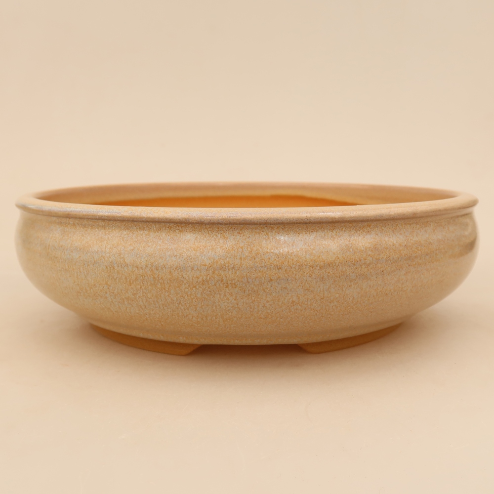 Vaso da bonsai in ceramica 23 x 23 x 6,5 cm, colore beige