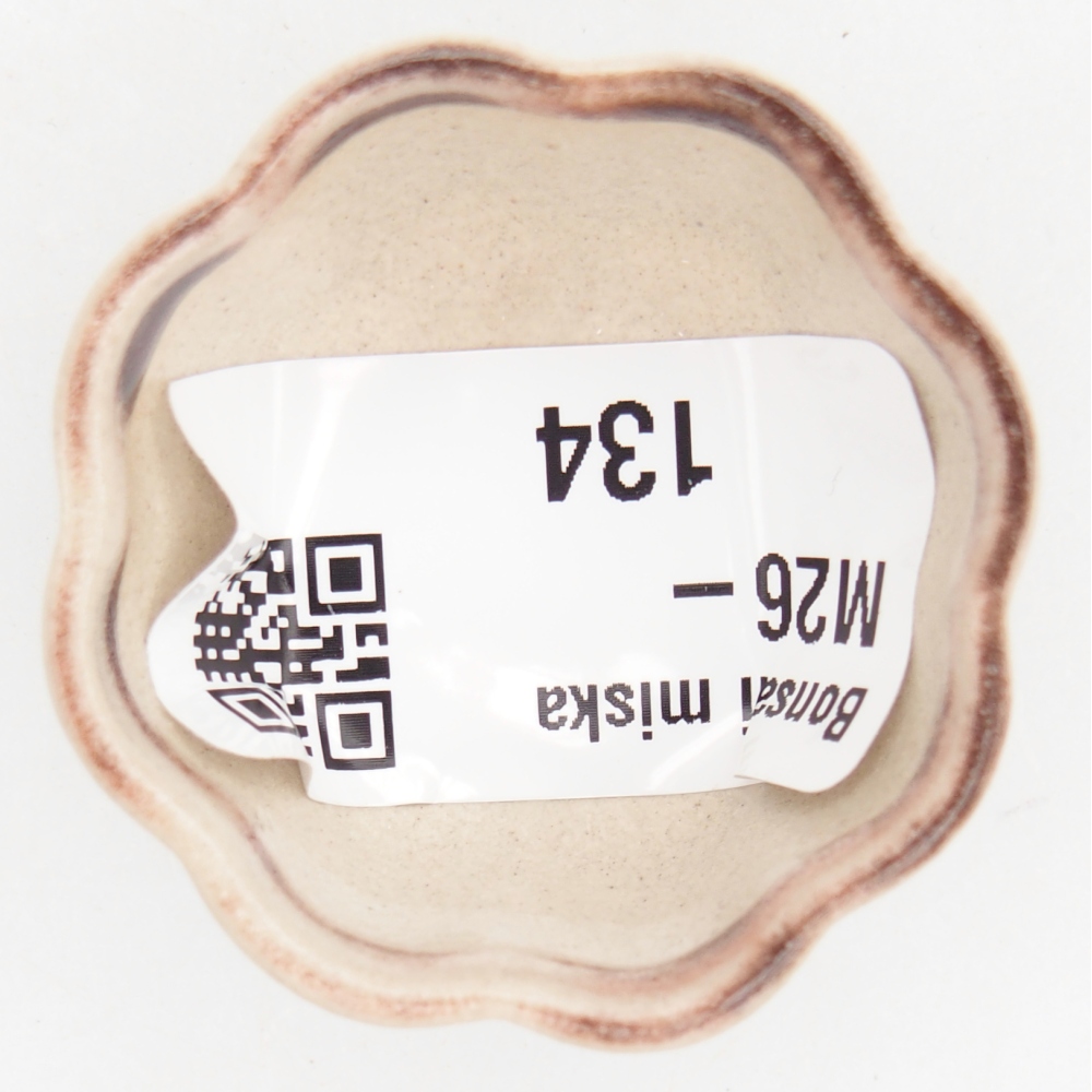 Mini bonsai 4 x 4 x 2 cm, colore rosso