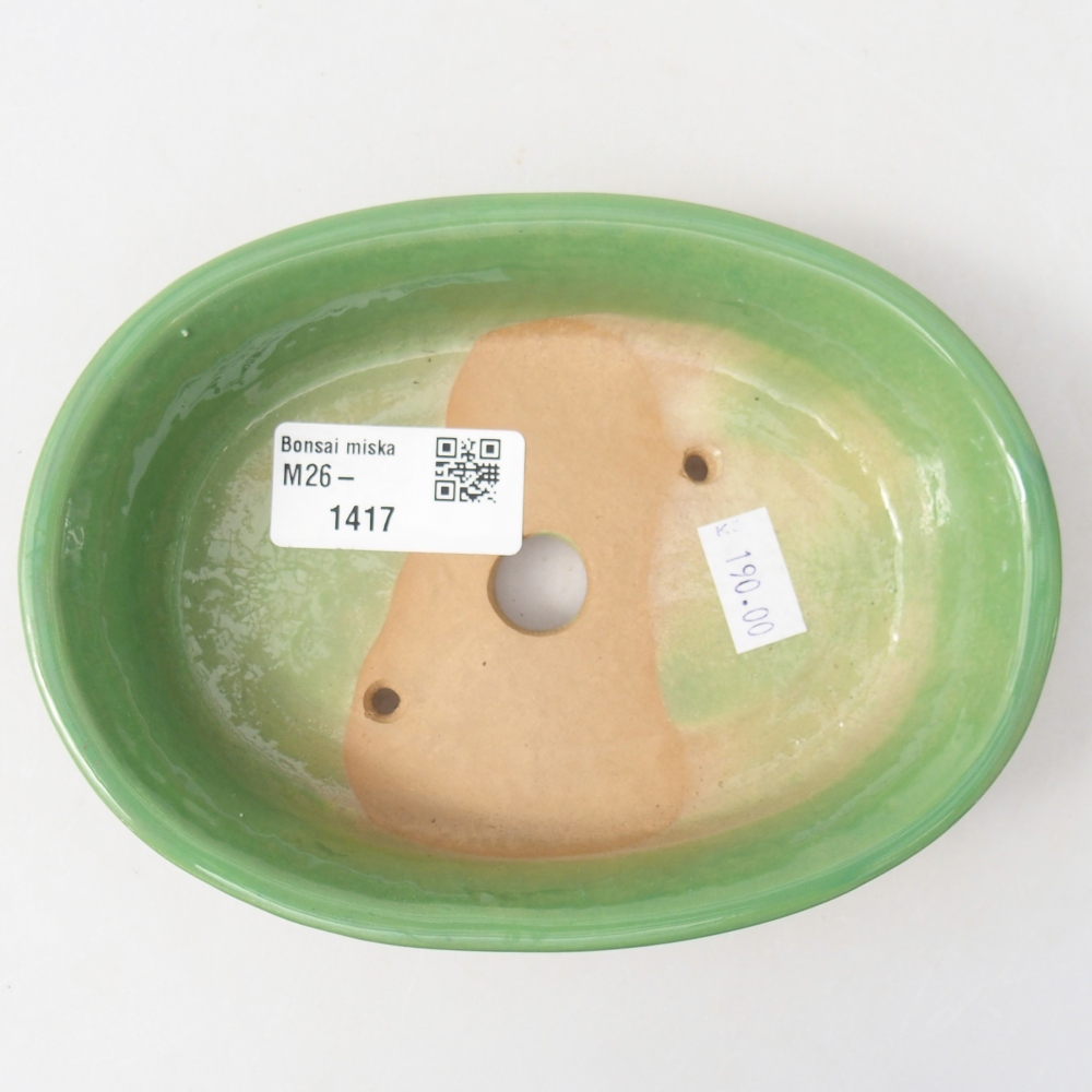Ciotola bonsai in ceramica 14,5 x 10,5 x 3,5 cm, verde