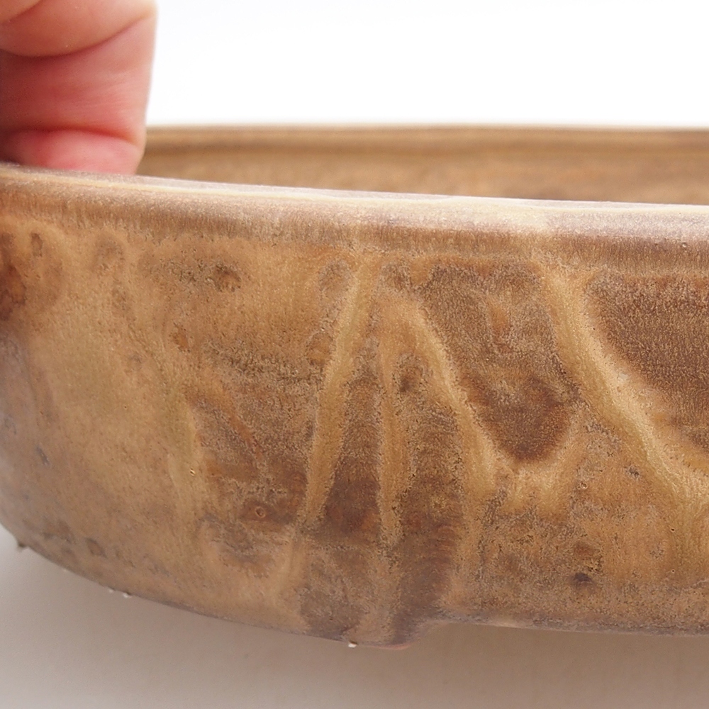 Ciotola bonsai in ceramica 26 x 20 x 5 cm, colore beige