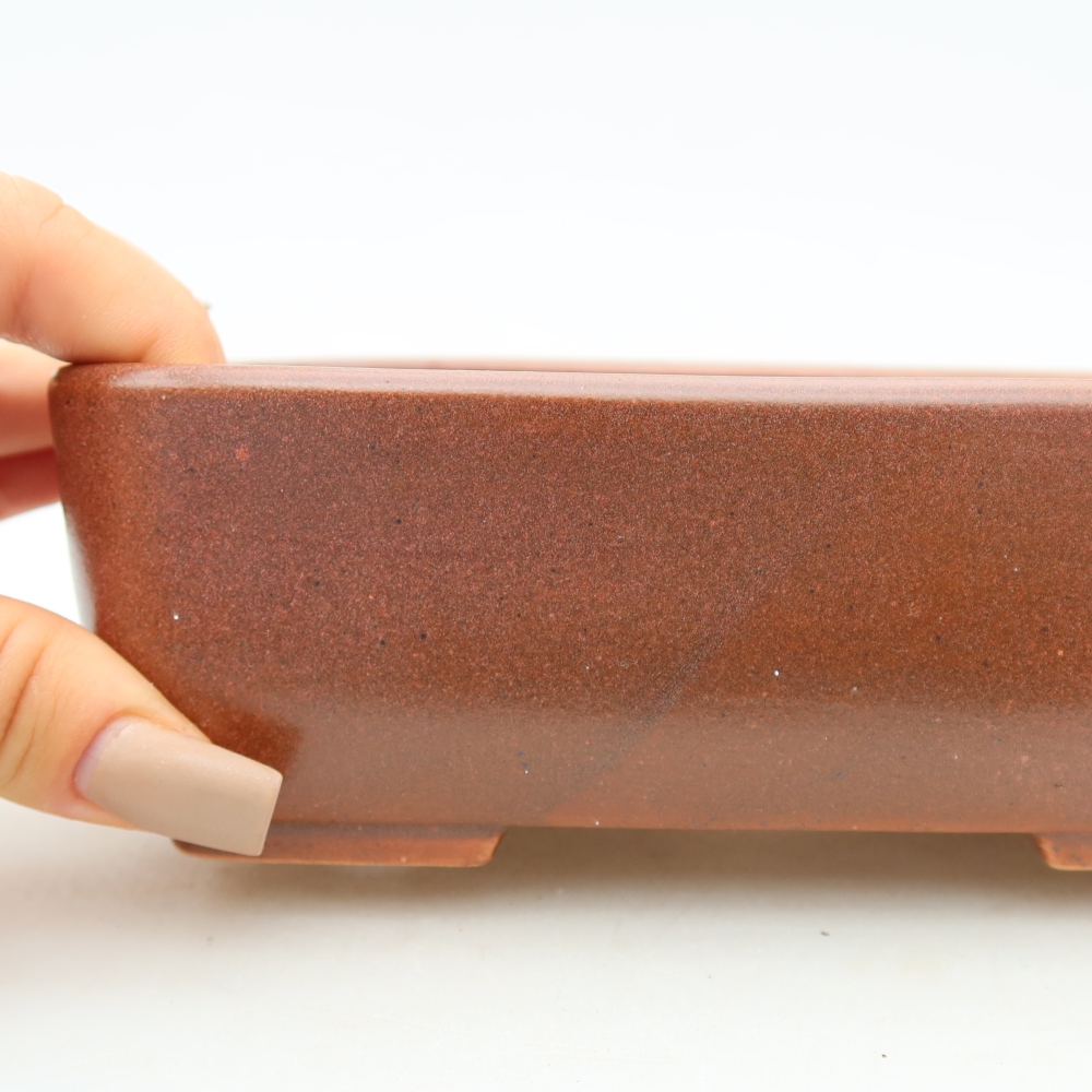 Vaso da bonsai in ceramica 16 x 10,5 x 5,5 cm, colore bordeaux