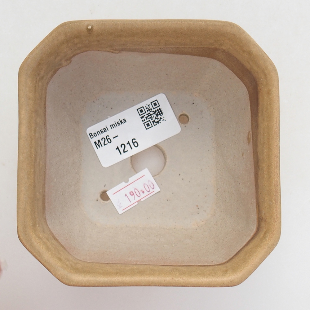 Ciotola per bonsai in ceramica 10 x 10 x 6 cm, marrone
