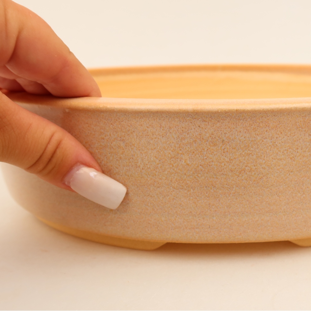 Vaso da bonsai in ceramica 26 x 26 x 6,5 cm, colore beige