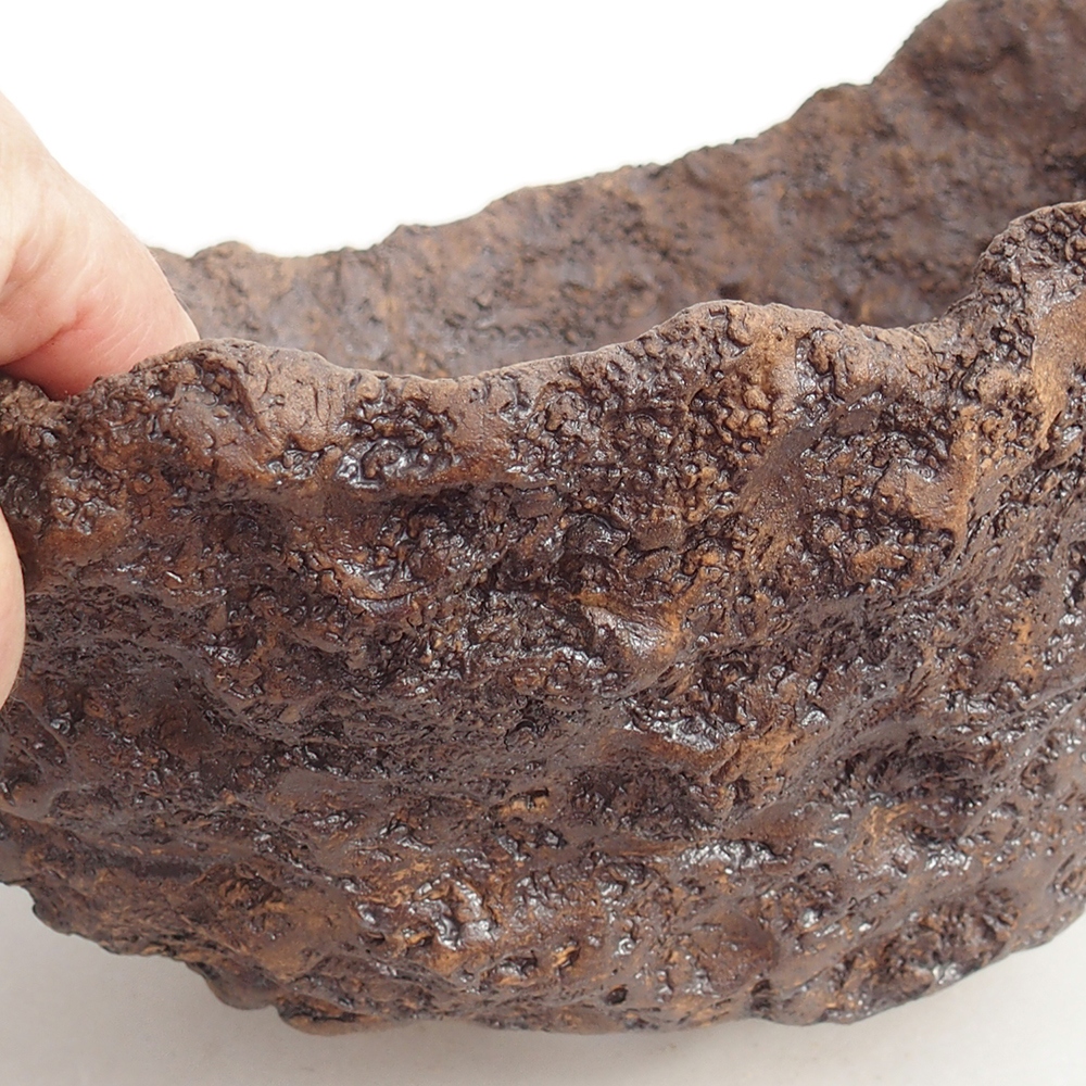 Conchiglia in ceramica 24 x 22 x 22 cm , colore marrone