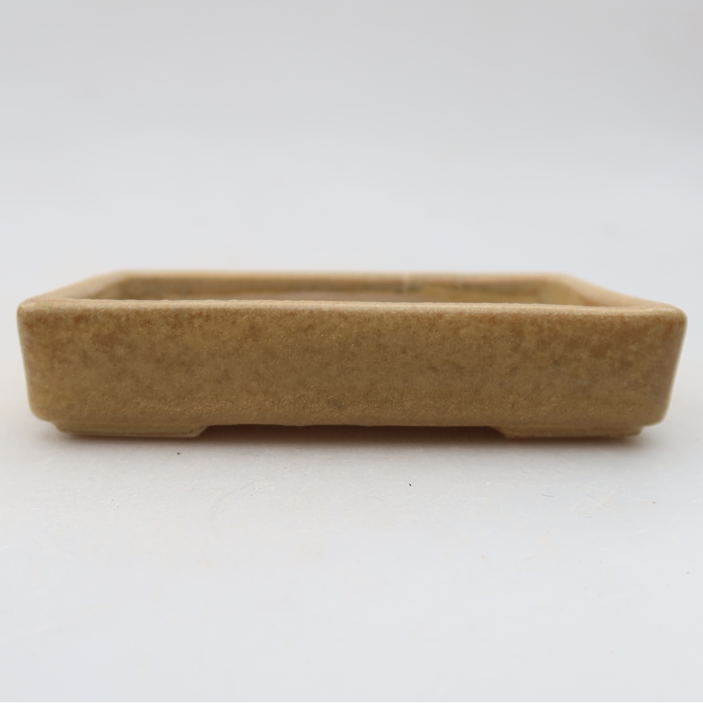 Ciotola per bonsai in ceramica 10 x 7 x 2 cm, colore beige
