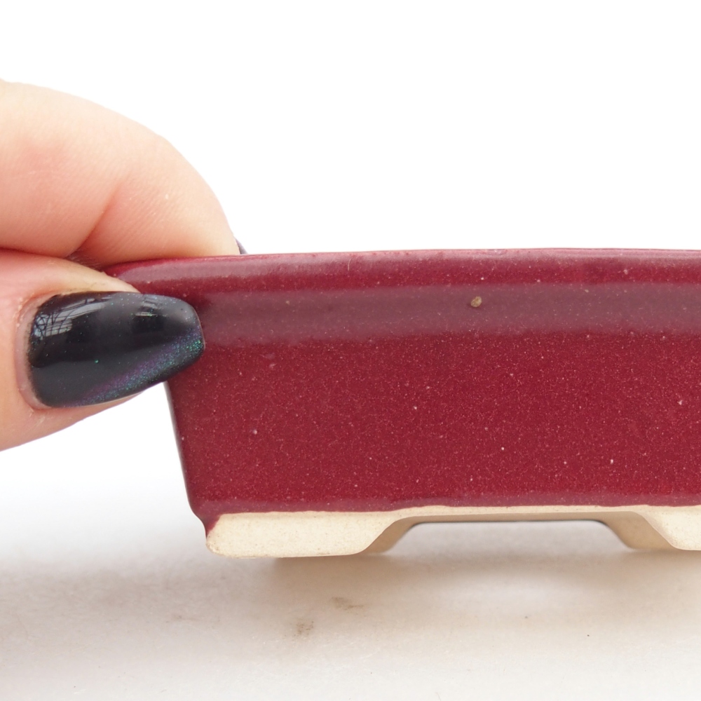 Mini bonsai 8 x 6 x 2,5 cm, bordeaux