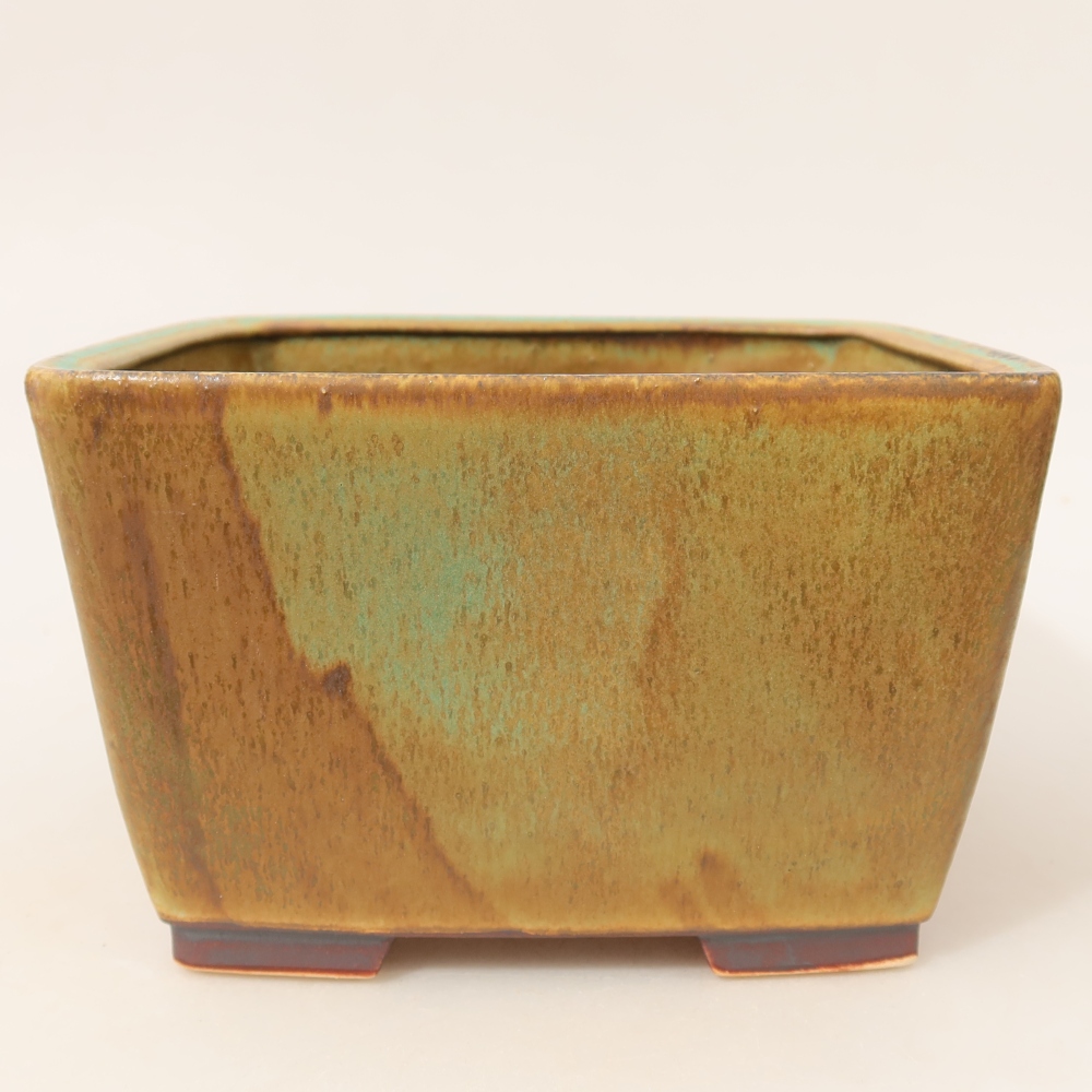 Ciotola bonsai in ceramica 16 x 16 x 10 cm, verde