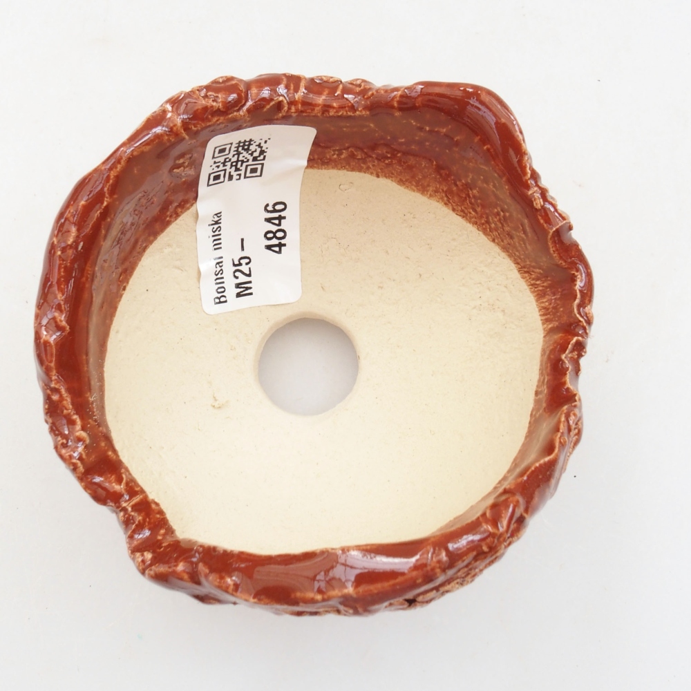 Conchiglia in ceramica 8 x 7 x 6 cm , colore marrone