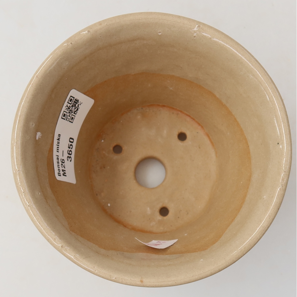 Vaso da bonsai in ceramica 11 x 11 x 7 cm, colore beige