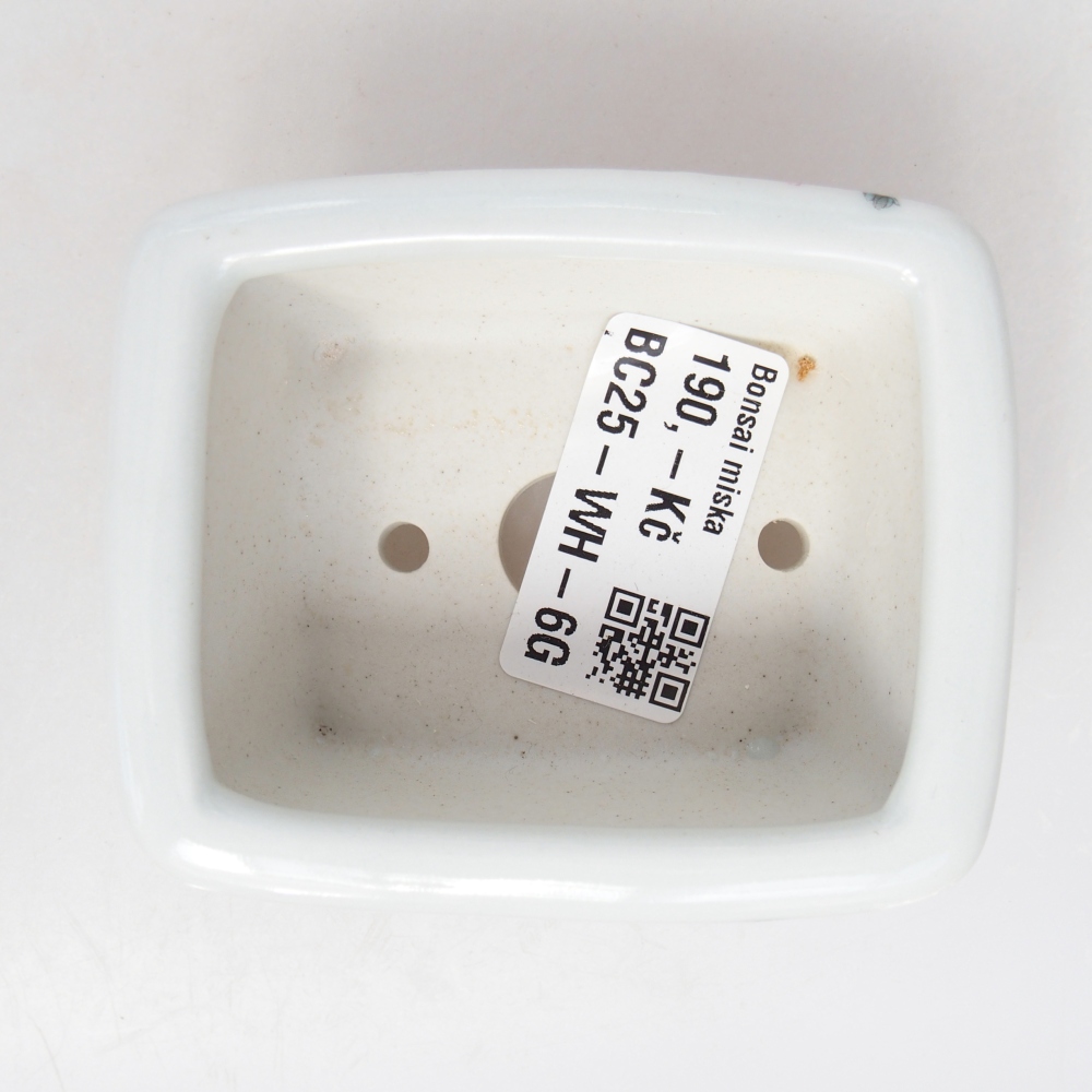 Mini bonsai 8 x 6,5 x 3,5 cm, bianco