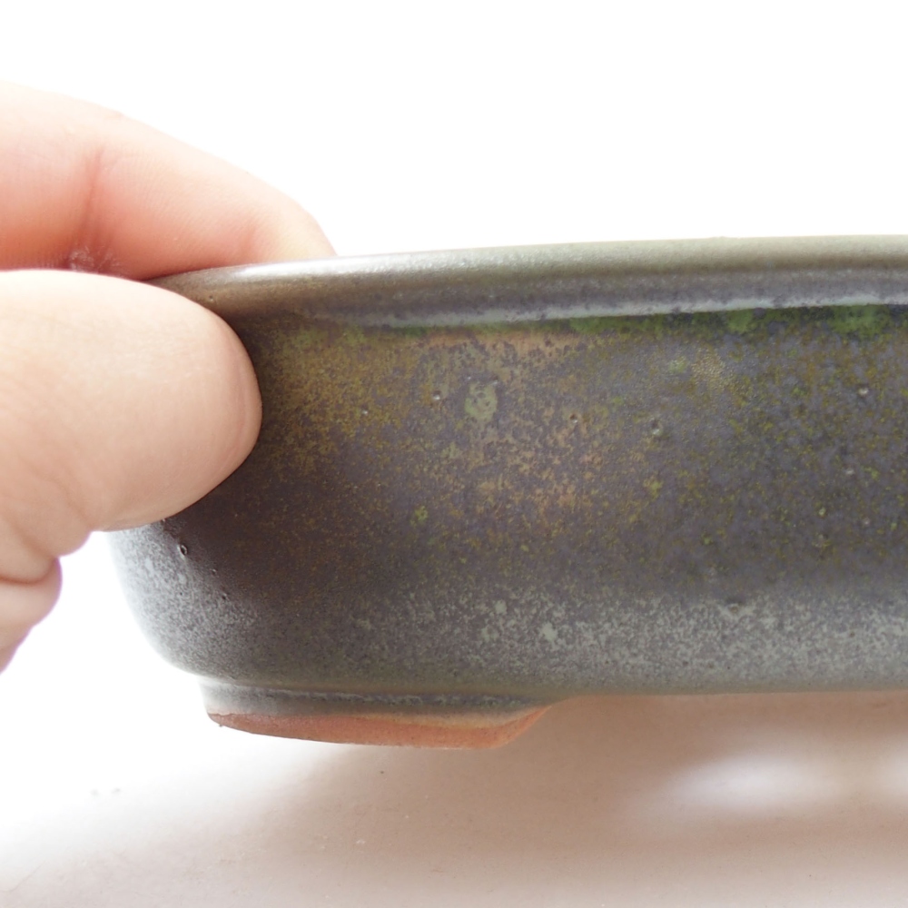 Ciotola bonsai in ceramica 22 x 17 x 5 cm, verde