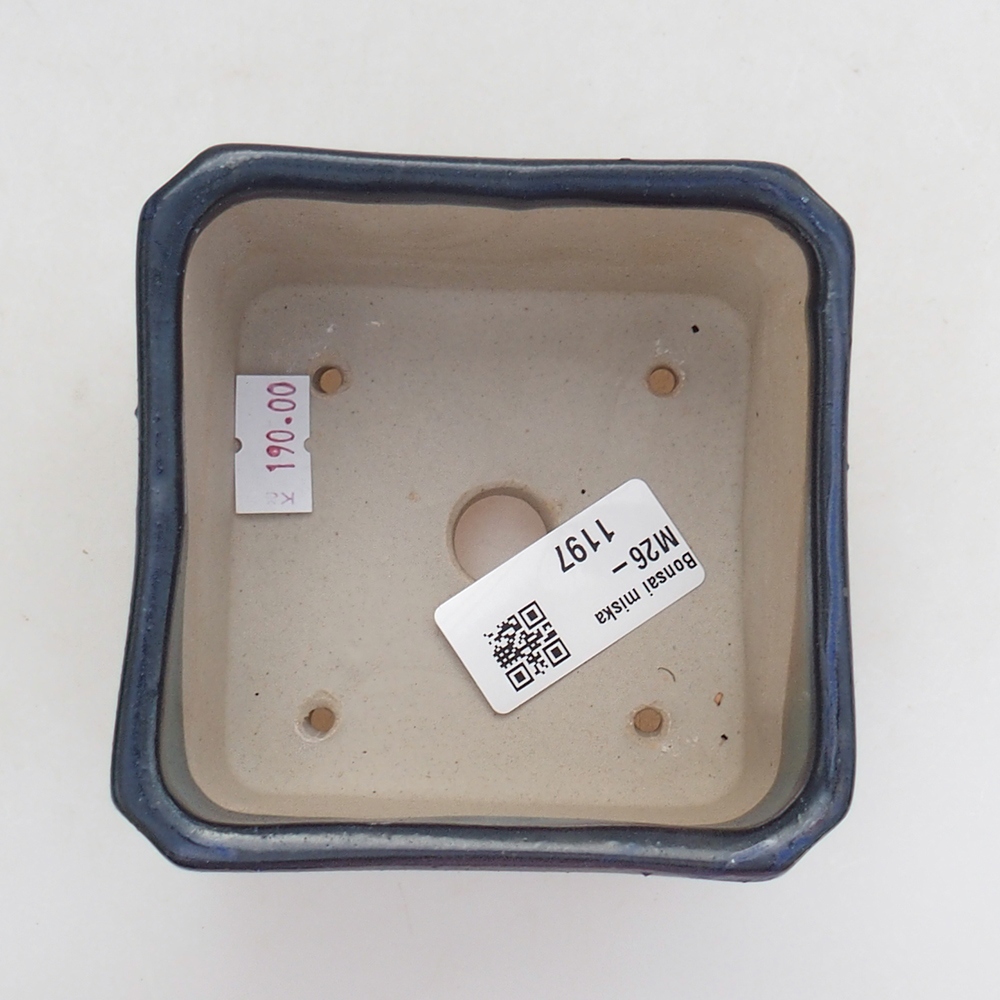 Ciotola bonsai in ceramica 9 x 9 x 7 cm, colore blu