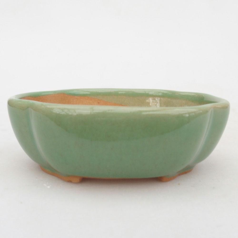 Ciotola per bonsai in ceramica 125 x 10 x 3 cm, marrone