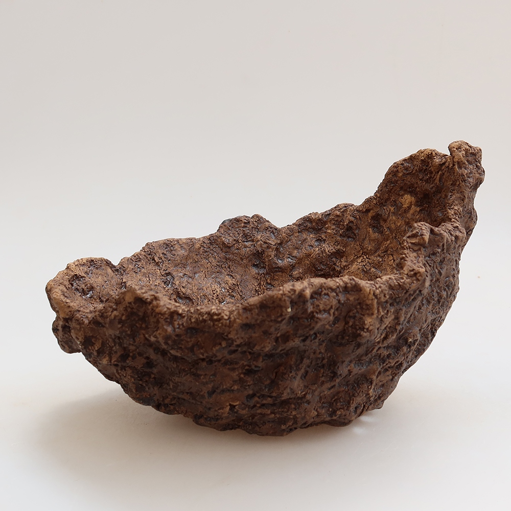 Conchiglia in ceramica 19 x 17 x 13 cm, colore marrone