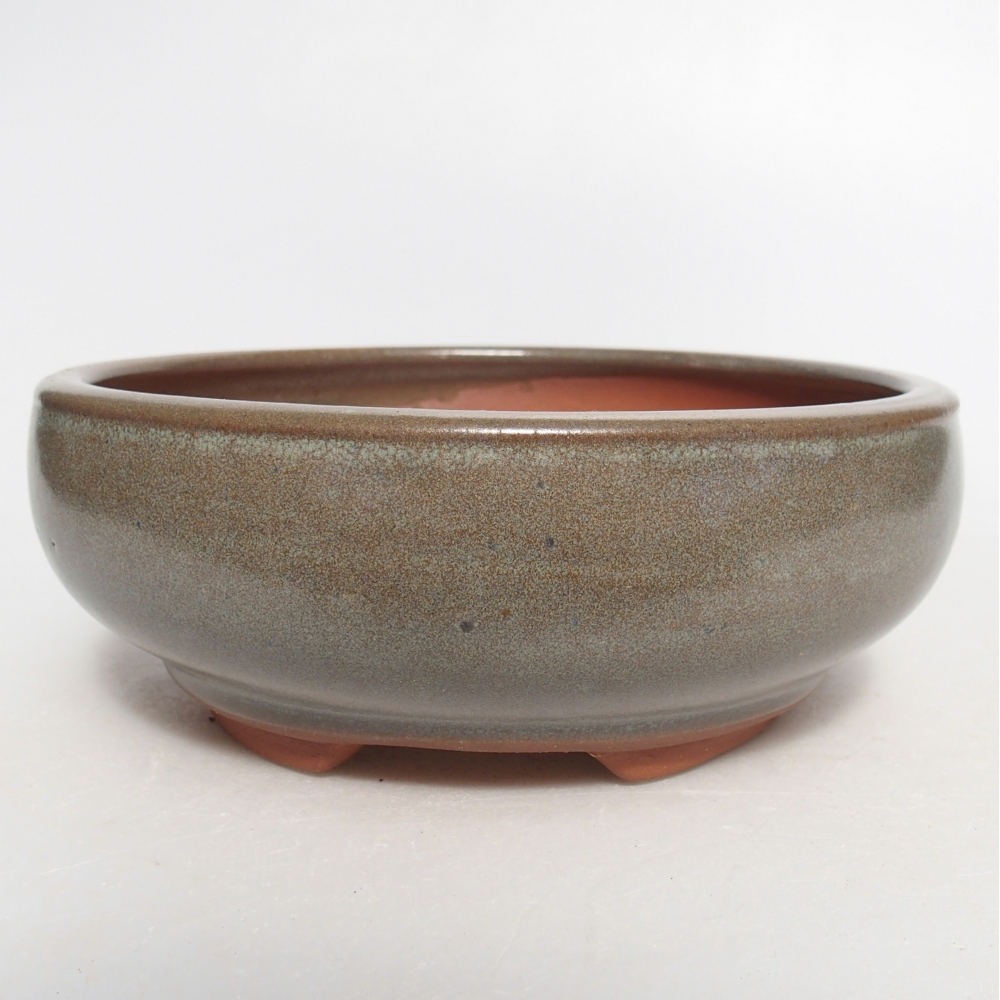 Ciotola per bonsai in ceramica 15 x 15 x 5,5 cm, verde