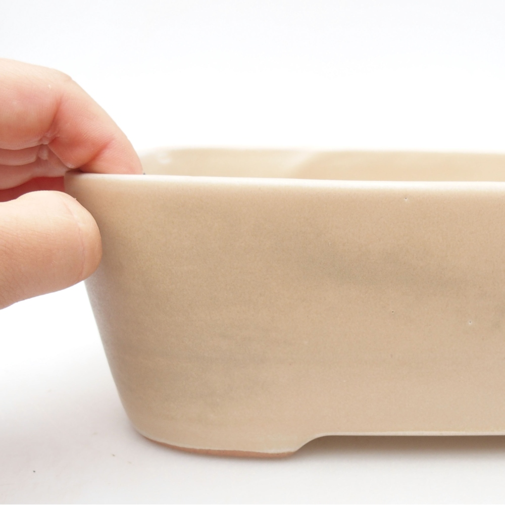 Ciotola bonsai in ceramica 23 x 18 x 7,5 cm, colore beige