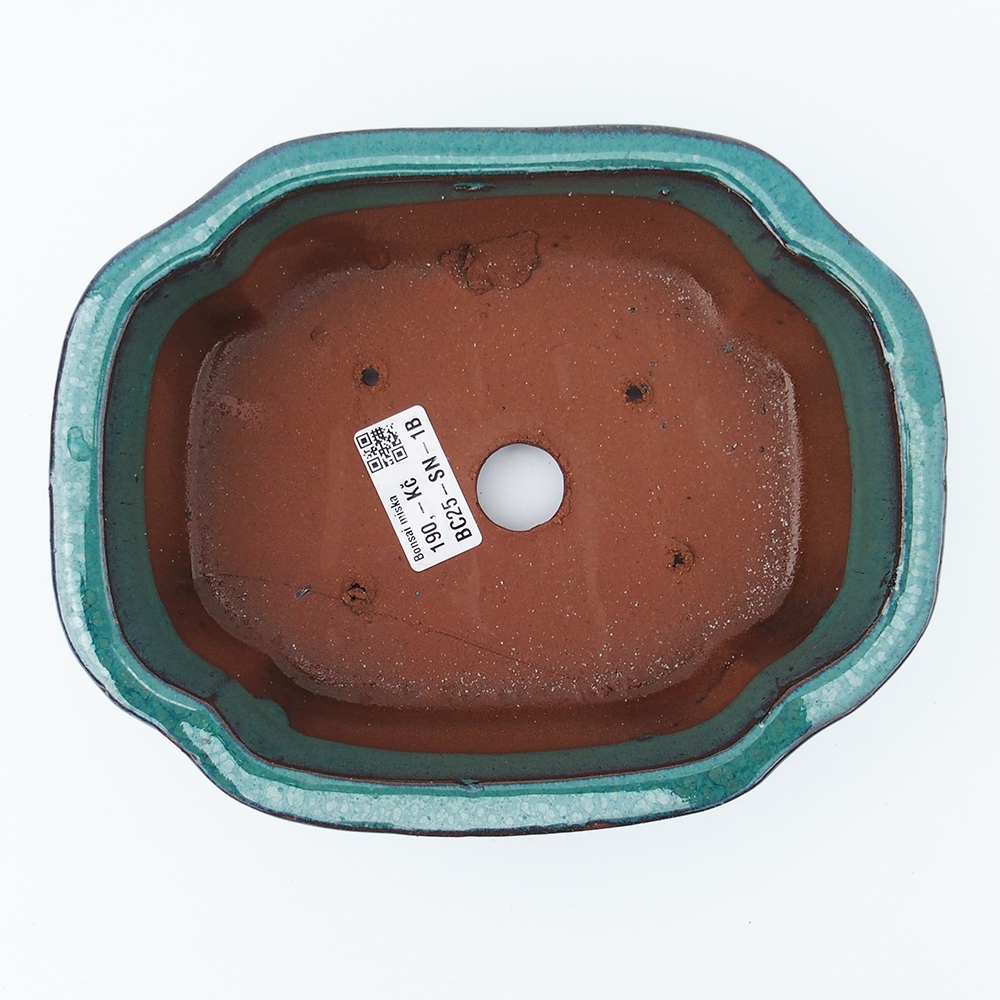 Ciotola 20 x 16 x 6,5 cm verde-blu