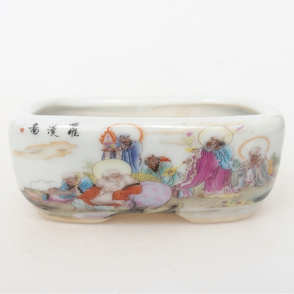 Mini bonsai 8 x 6 x 3 cm, bianco