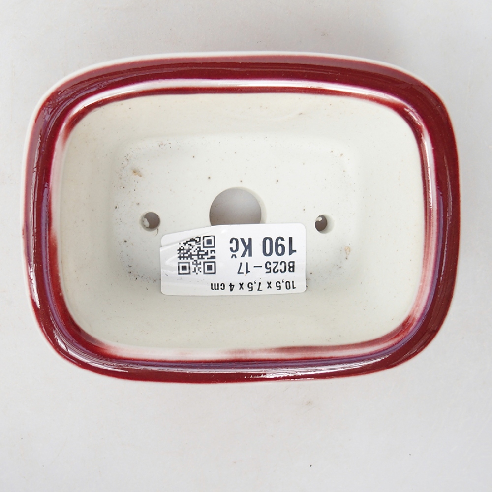Ciotola per bonsai in ceramica 10 x 7,5 x 4 cm, colore rosso