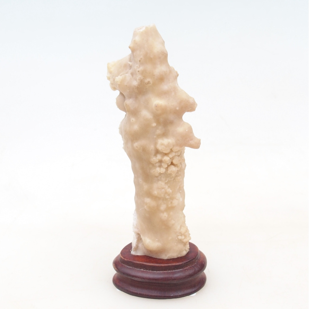 Suiseki - Pietra con DAI (base in legno)