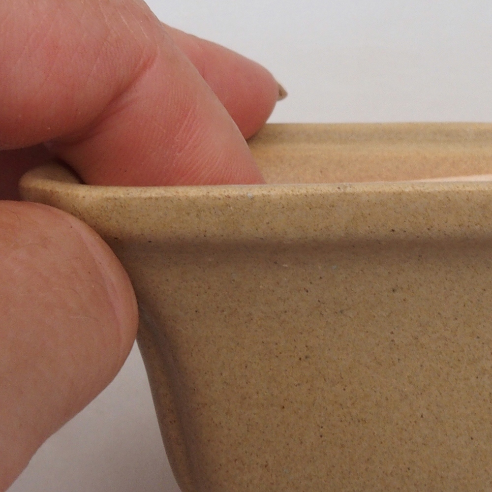 Mini bonsai 7,5 x 7,5 x 4,5 cm, marrone