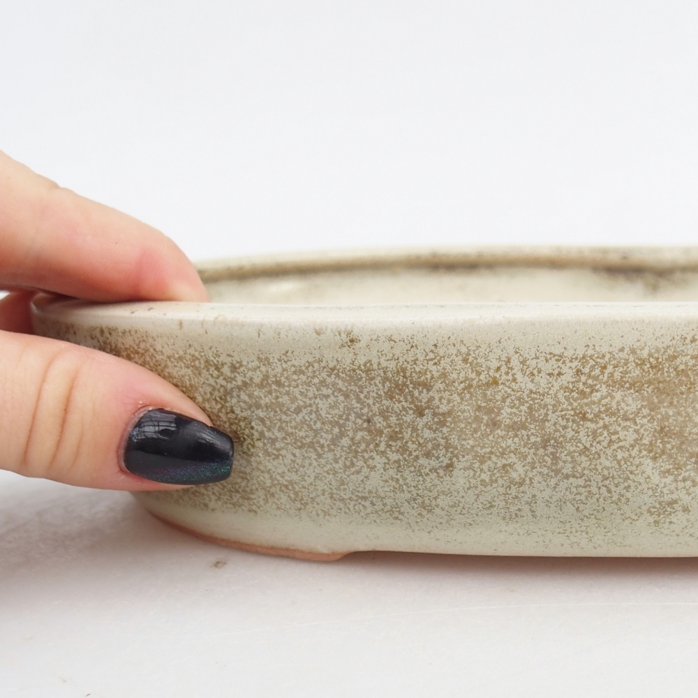 Ciotola bonsai in ceramica 22,5 x 17 x 4,5 cm, verde