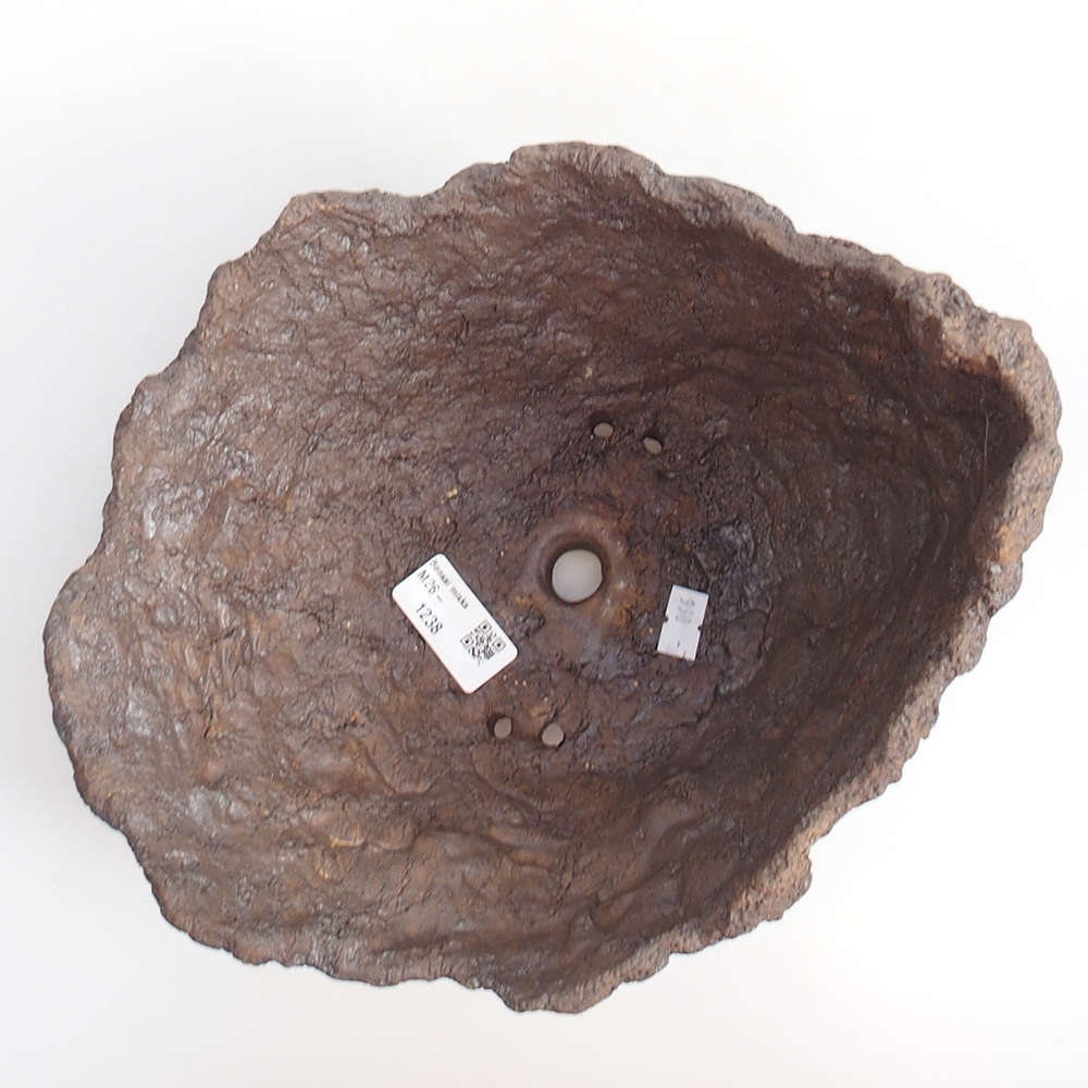 Conchiglia in ceramica 25 x 21 x 21 cm , colore marrone