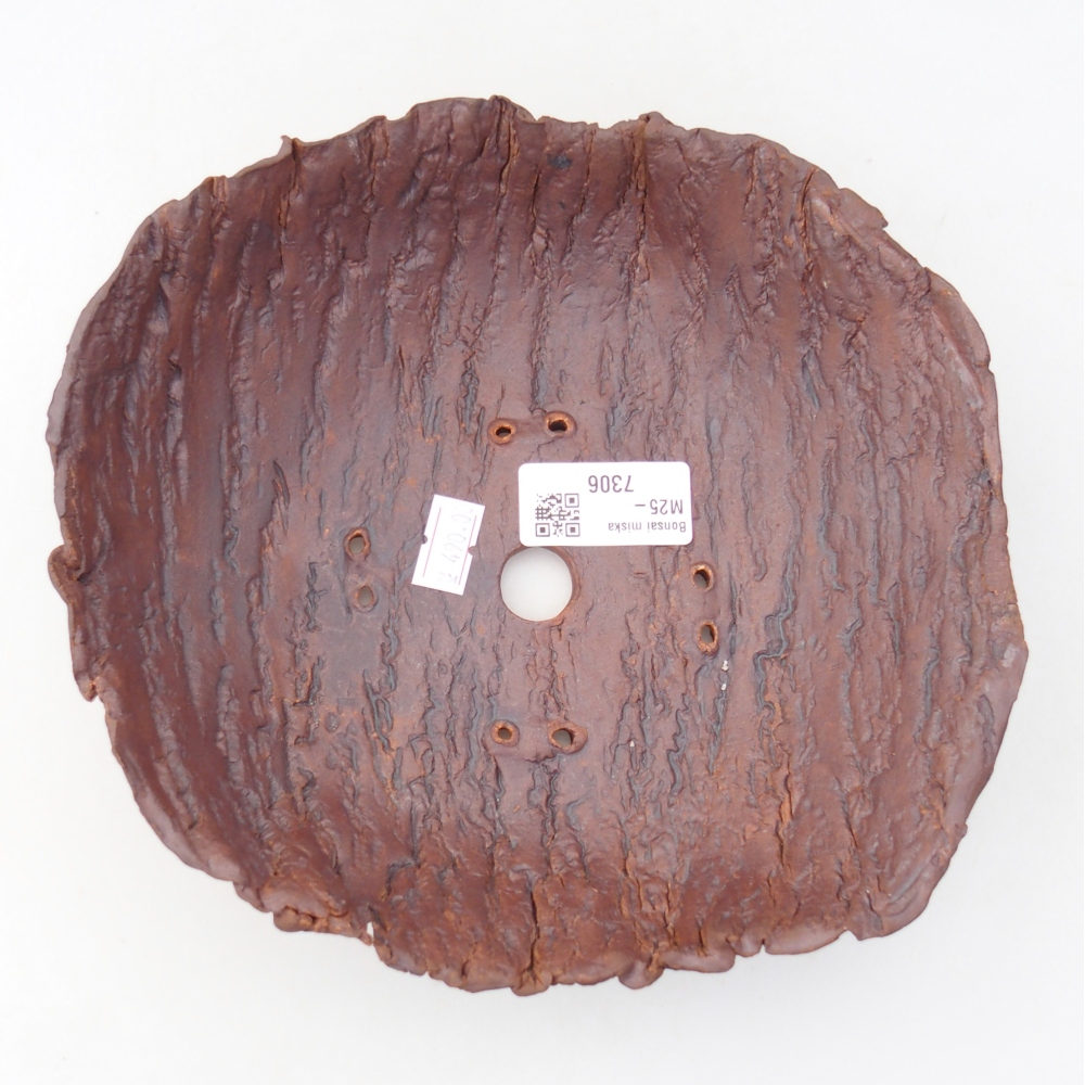 Conchiglia in ceramica 20 x 19 x 6,5 cm , colore marrone