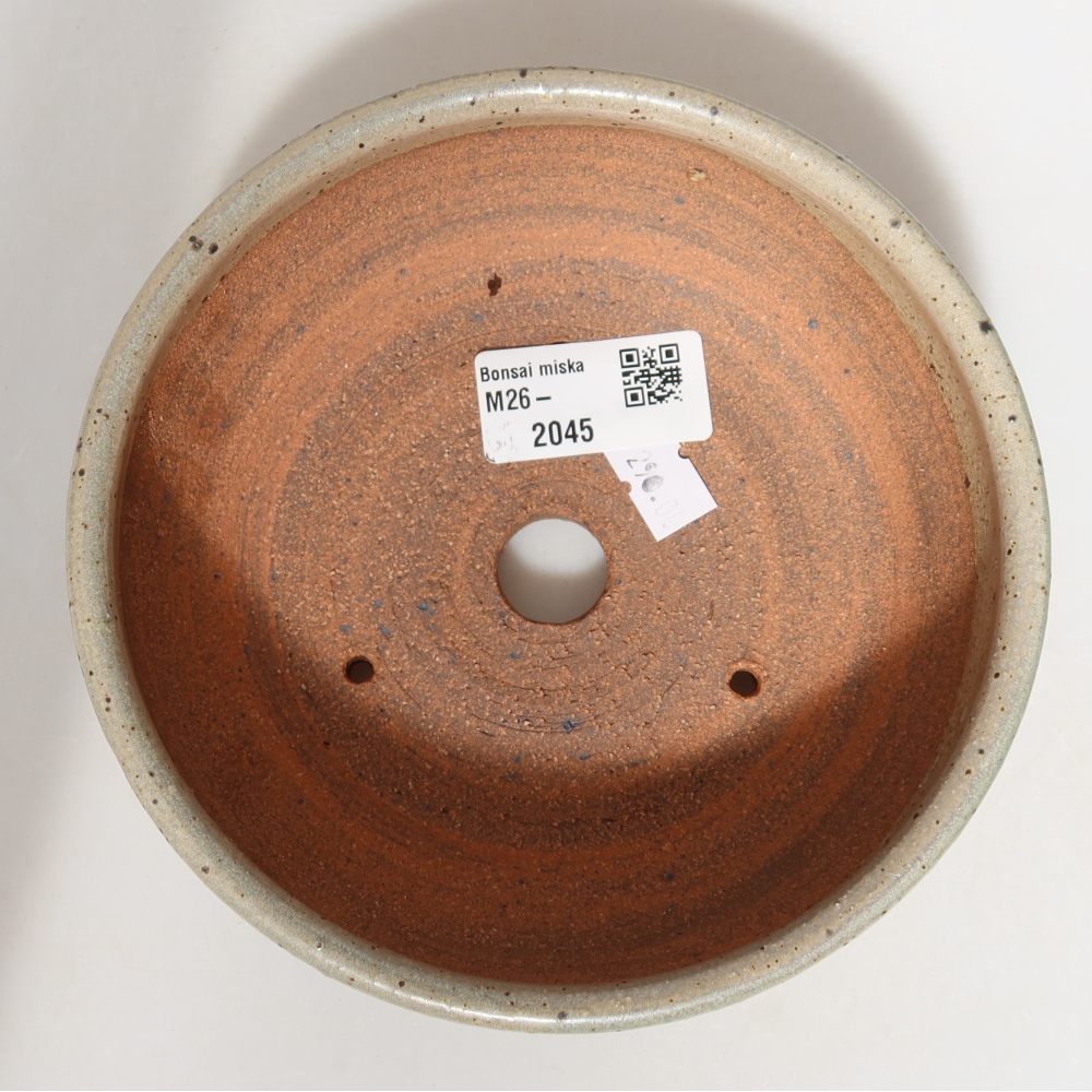 Ciotola bonsai in ceramica 14,5 x 14,5 x 5,5 cm, colore beige