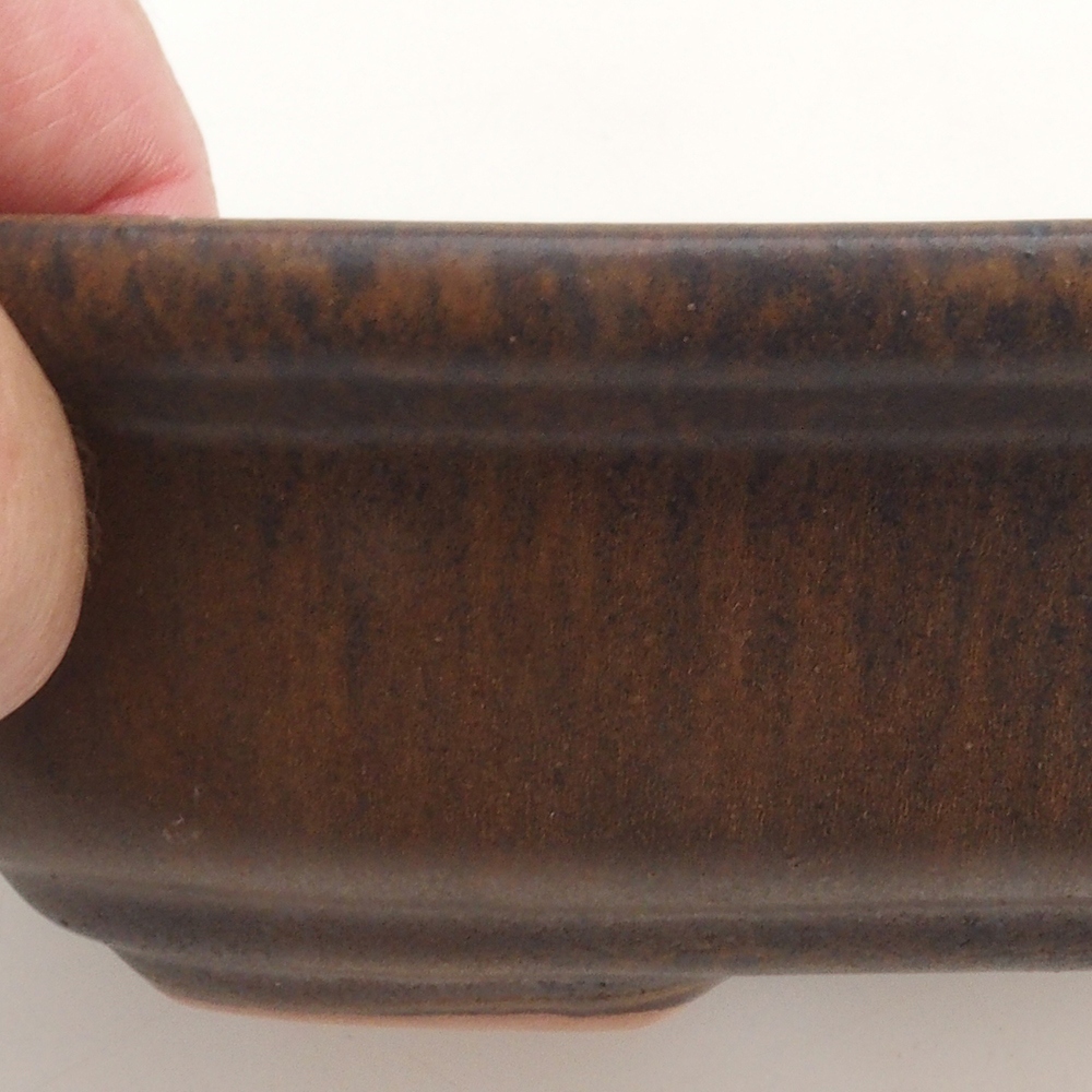 Ciotola per bonsai H25 - 23 x 17 x 5,5 cm - marrone