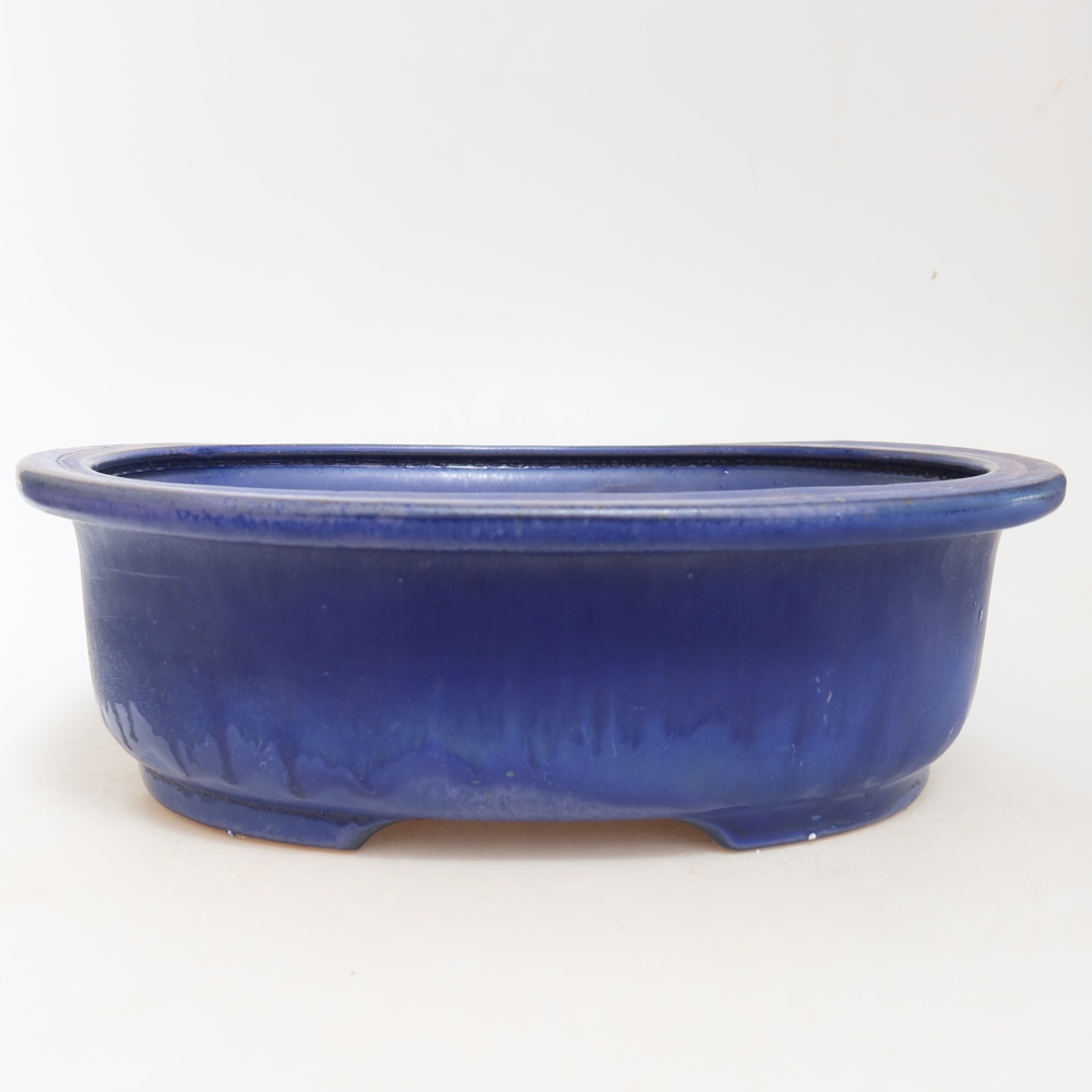 Ciotola bonsai in ceramica 26 x 22 x 8 cm, colore blu