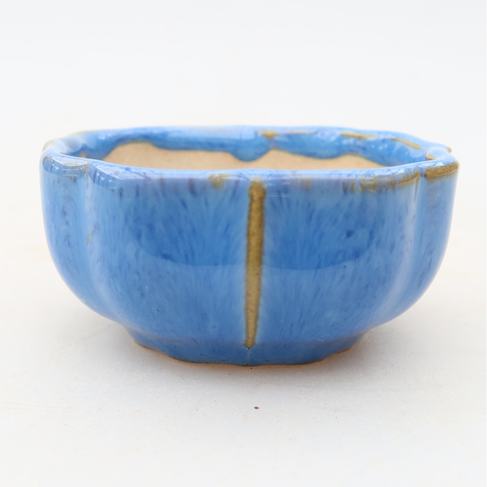 Vaso da bonsai in ceramica 6 x 6 x 3 cm, colore blu