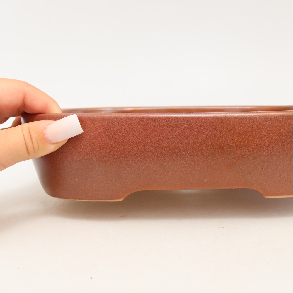 Ciotola per bonsai in ceramica 23 x 18 x 5,5 cm, bordeaux