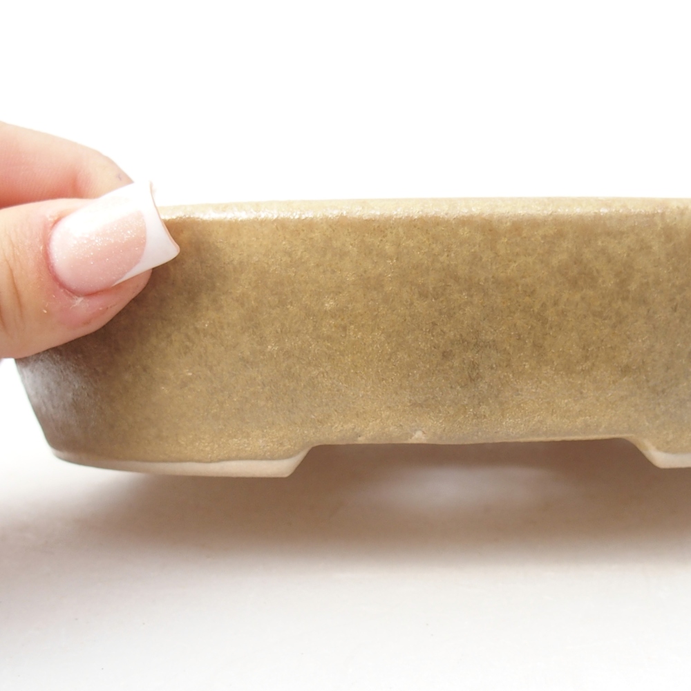 Ciotola per bonsai in ceramica 17 x 13,5 x 4 cm, colore beige