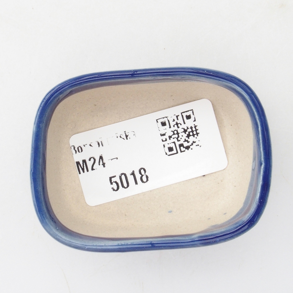 Mini bonsai 5,5 x 4 x 2,5 cm, colore blu