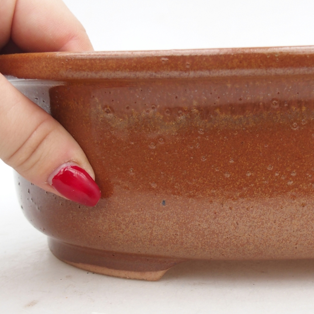 Ciotola per bonsai in ceramica 26 x 22 x 8 cm, marrone