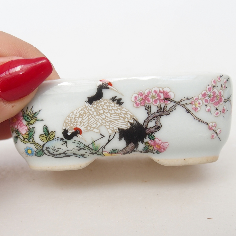 Mini bonsai 8 x 6 x 3 cm, bianco