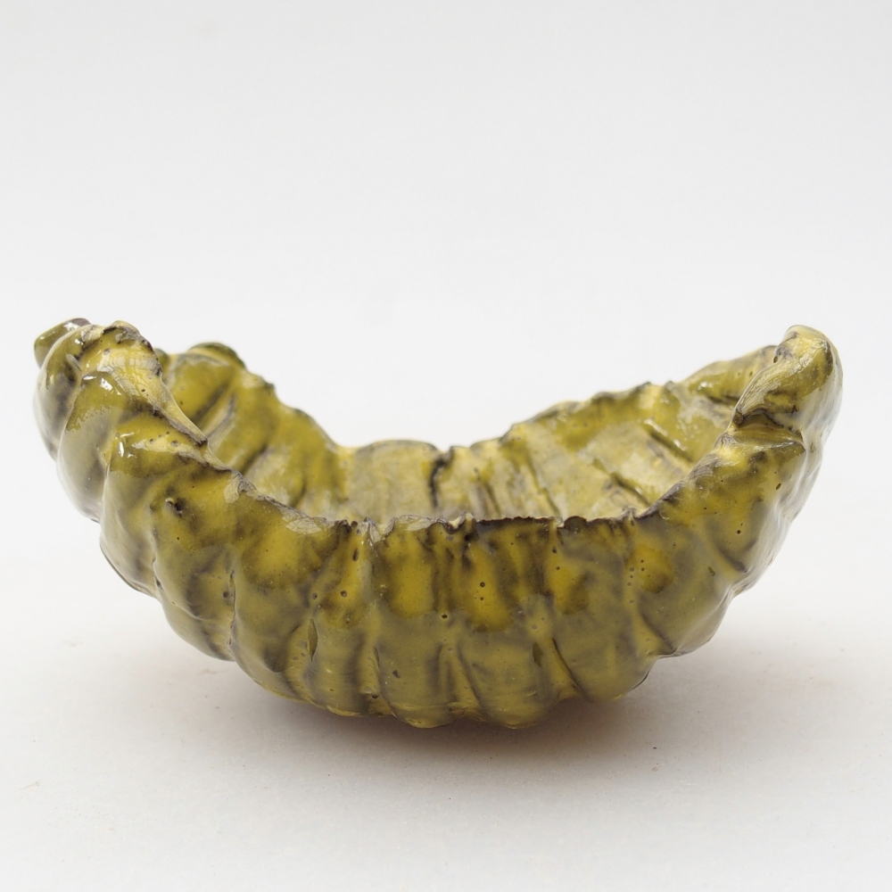 Conchiglia in ceramica 9 x 8 x 5 cm , giallo
