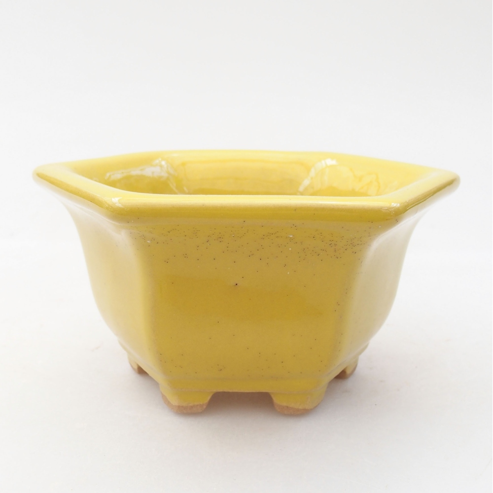 Ciotola bonsai in ceramica 10,5 x 9,5 x 5,5 cm, giallo