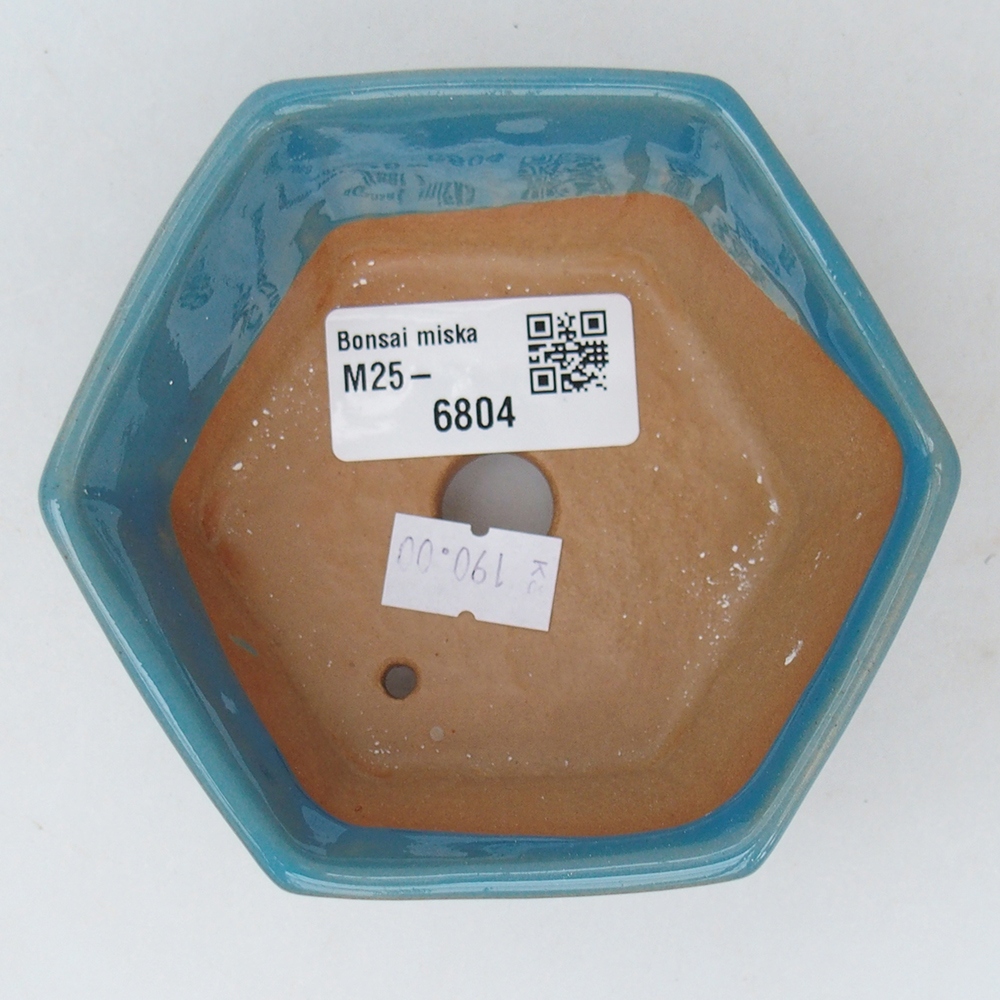 Ciotola bonsai in ceramica 10,5 x 9,5 x 5 cm, colore blu
